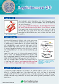 Leptin (human) 검사