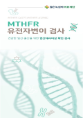 MTFHR 유전자변이 검사