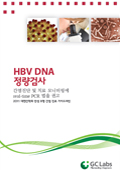 HBV DNA 정량검사