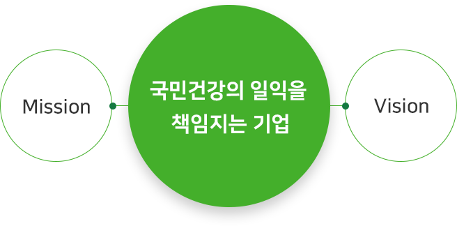 주요 전략 과제, 국민건강의 일익을 책임지는 기업, 핵심가치