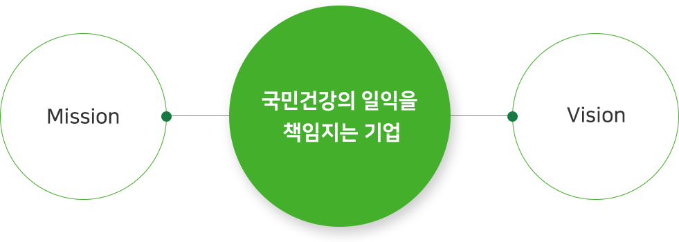 주요 전략 과제, 국민건강의 일익을 책임지는 기업, 핵심가치